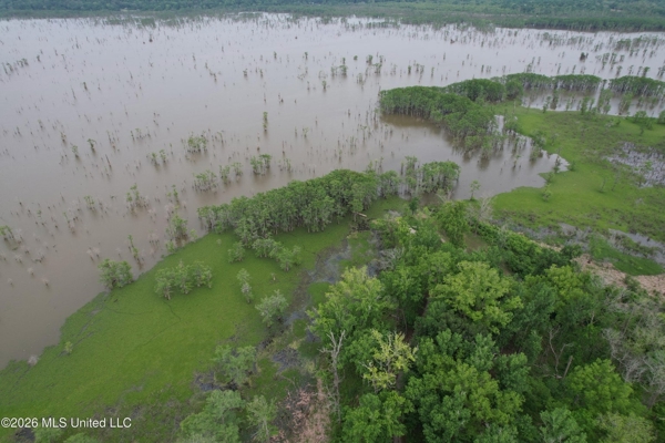 88 Acre Hunting Property - Wilkinson County, MS