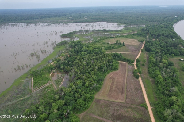 88 Acre Hunting Property - Wilkinson County, MS