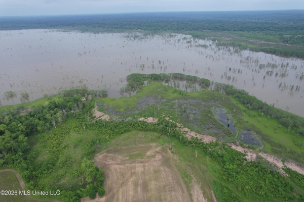 88 Acre Hunting Property - Wilkinson County, MS