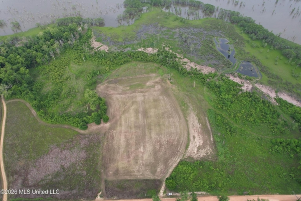 88 Acre Hunting Property - Wilkinson County, MS