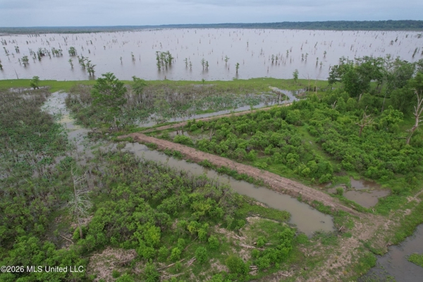 88 Acre Hunting Property - Wilkinson County, MS
