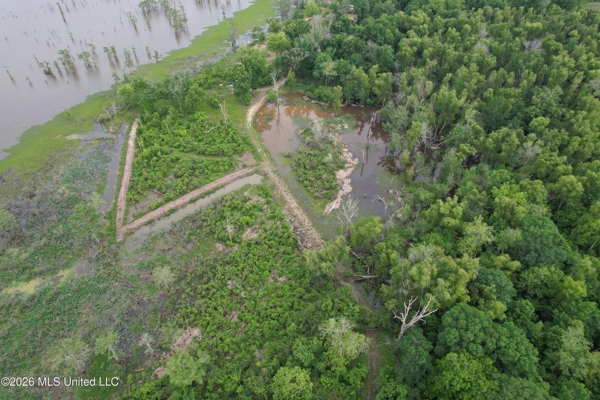 88 Acre Hunting Property - Wilkinson County, MS