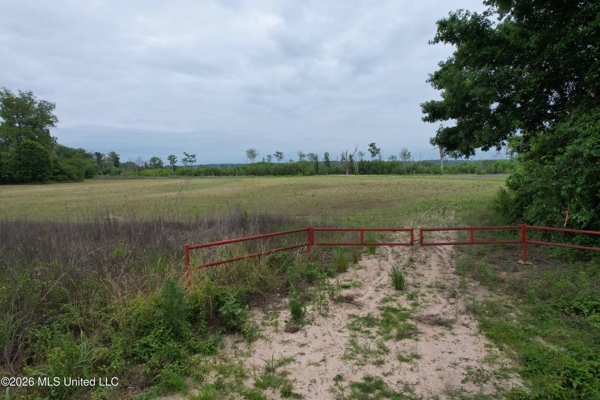 88 Acre Hunting Property - Wilkinson County, MS