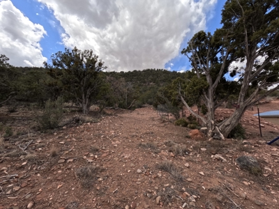 Off Grid Homestead with Amazing Views - image 43