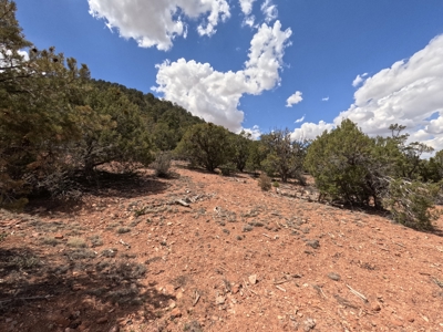 Off Grid Homestead with Amazing Views - image 42