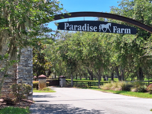 Luxury Equestrian Homesite--10 Acres Near World Equestrian Center