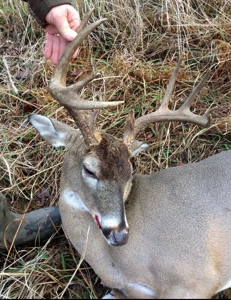 Camp and 61 Acres of Premier Recreational Land Lawrence County MS - image 45