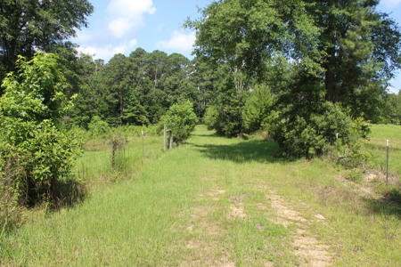 Camp and 61 Acres of Premier Recreational Land Lawrence County MS - image 33
