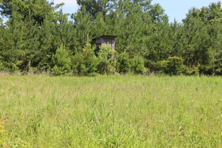 Camp and 61 Acres of Premier Recreational Land Lawrence County MS - image 35