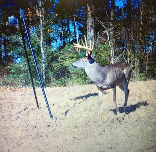 Camp and 61 Acres of Premier Recreational Land Lawrence County MS - image 46