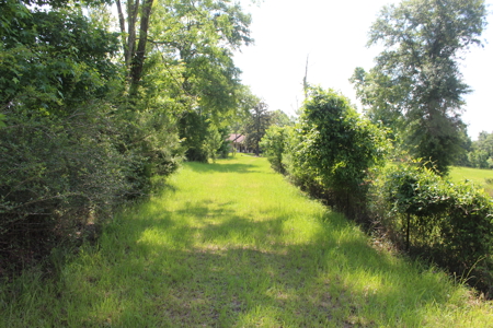 Camp and 61 Acres of Premier Recreational Land Lawrence County MS - image 34