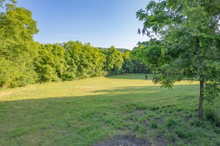 Country Home for Sale in Giles County, Tennessee - image 39