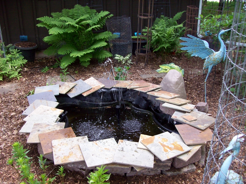 No Caption