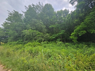 Listing 29