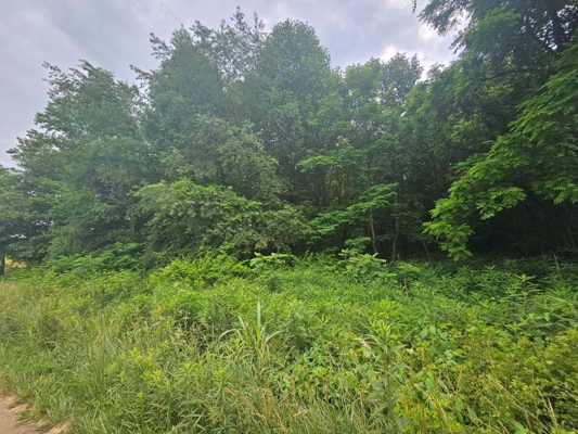 Lot for Sale in Damascus Virginia
