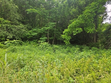Listing 29