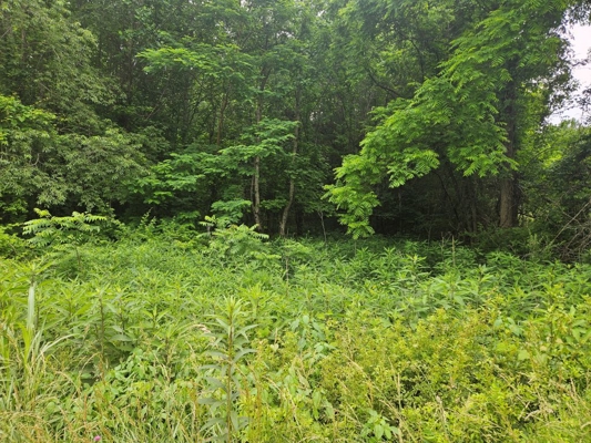Lot for Sale in Damascus Virginia