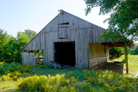 20 Acres +/- in Lincoln County For Sale - image 11