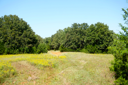 20 Acres +/- in Lincoln County For Sale - image 8