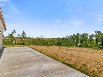 Country Home for Sale in Lewis County, Tennessee - image 48