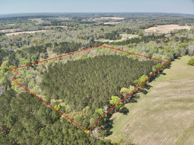 13.9 Acres on Saint Mary Rd, Cottonwood, Alabama. - image 3