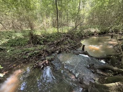 13.9 Acres on Saint Mary Rd, Cottonwood, Alabama. - image 19