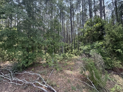 13.9 Acres on Saint Mary Rd, Cottonwood, Alabama. - image 8