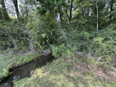 13.9 Acres on Saint Mary Rd, Cottonwood, Alabama. - image 17