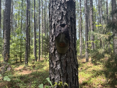 13.9 Acres on Saint Mary Rd, Cottonwood, Alabama. - image 14
