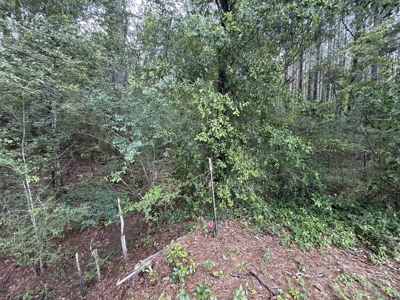 13.9 Acres on Saint Mary Rd, Cottonwood, Alabama. - image 9