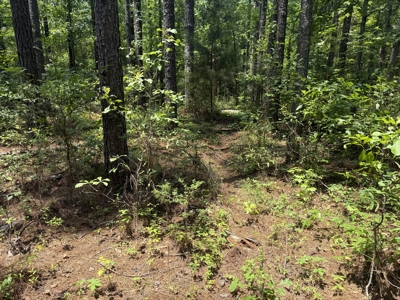 13.9 Acres on Saint Mary Rd, Cottonwood, Alabama. - image 16