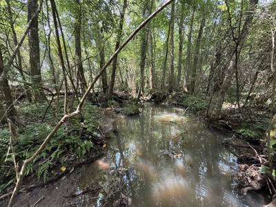 13.9 Acres on Saint Mary Rd, Cottonwood, Alabama. - image 18