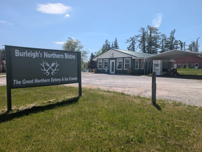 Restaurant Investment Opportunity in Northern Atlanta Michigan - image 39