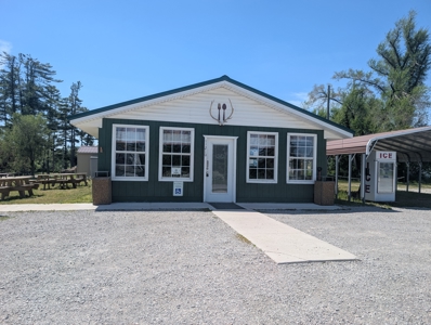 Restaurant Investment Opportunity in Northern Atlanta Michigan - image 38