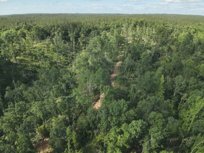 21-Acre Tennessee Log Home Premier Hunting Property in Linden, TN - image 49