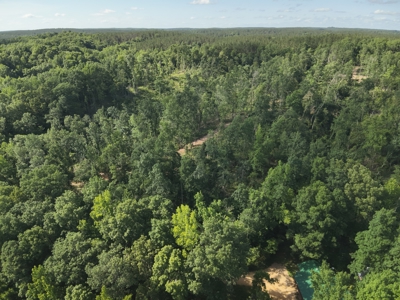 21-Acre Tennessee Log Home Premier Hunting Property in Linden, TN - image 48