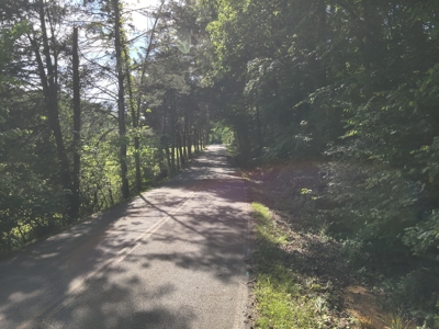 21-Acre Tennessee Log Home Premier Hunting Property in Linden, TN - image 44