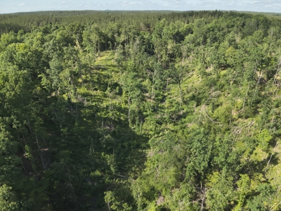 21-Acre Tennessee Log Home Premier Hunting Property in Linden, TN - image 45