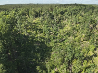 21-Acre Tennessee Log Home Premier Hunting Property in Linden, TN - image 46