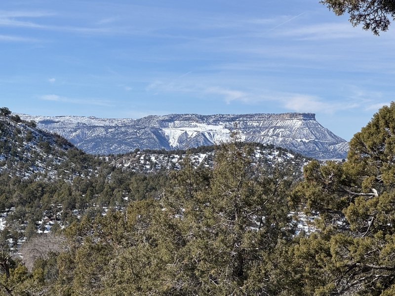 No Caption