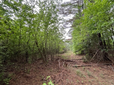 Marietta +/- 8.3 acre Potential Country Homesite - image 4