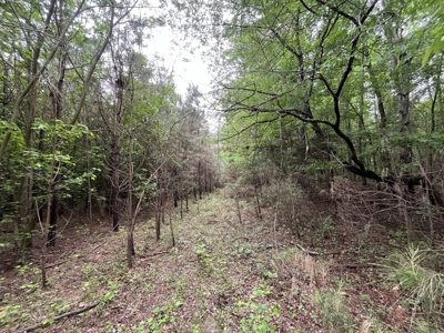 Marietta +/- 8.3 acre Potential Country Homesite - image 3