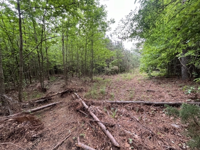 Marietta +/- 8.3 acre Potential Country Homesite - image 6