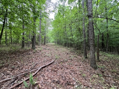 Marietta +/- 8.3 acre Potential Country Homesite - image 15