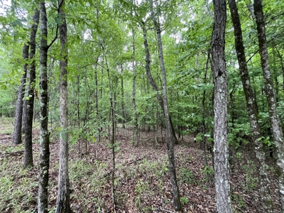 Marietta +/- 8.3 acre Potential Country Homesite - image 16