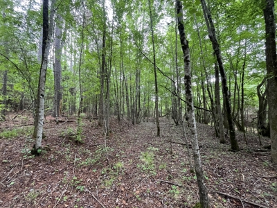 Marietta +/- 8.3 acre Potential Country Homesite - image 7