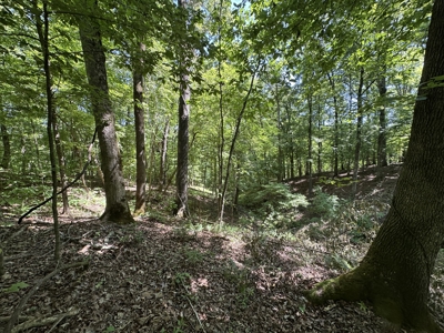 Benton Residential Land for Sale! - image 6
