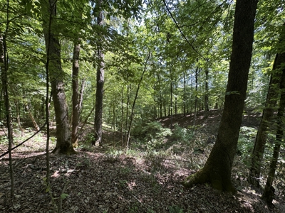 Benton Residential Land for Sale! - image 4