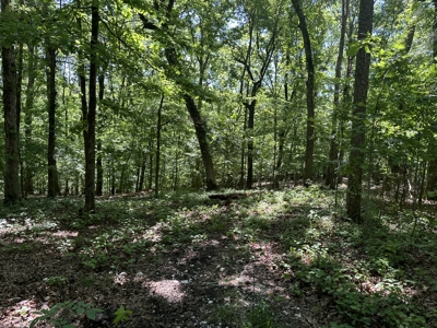 Benton Residential Land for Sale! - image 9