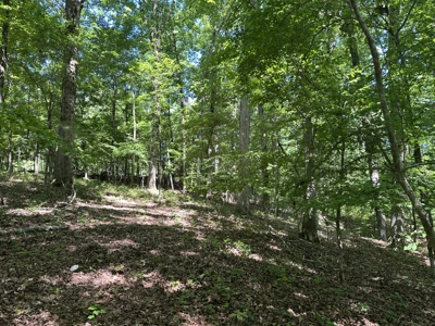 Benton Residential Land for Sale! - image 1